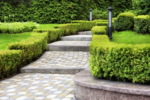 Backyard Remodeling in Little River