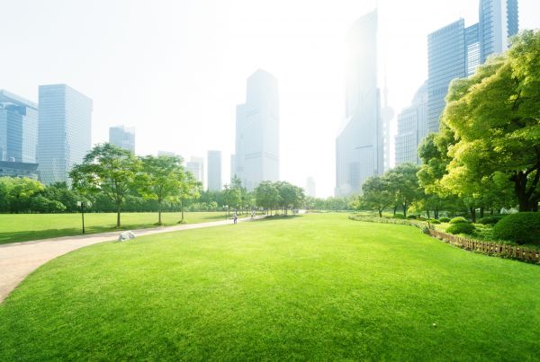 Commercial Landscape Maintenance in Little River