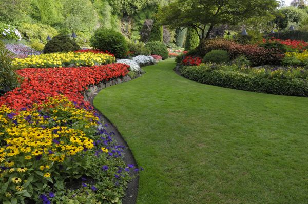Landscaping Maintenance in Little River