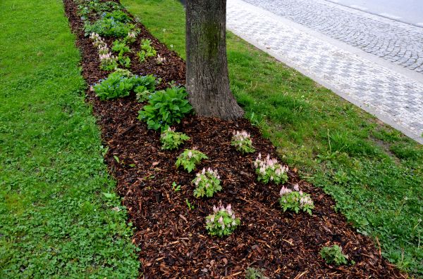 Mulch Replacement Service in Little River