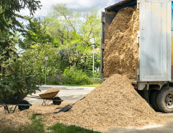Wood Chips Delivery in Little River
