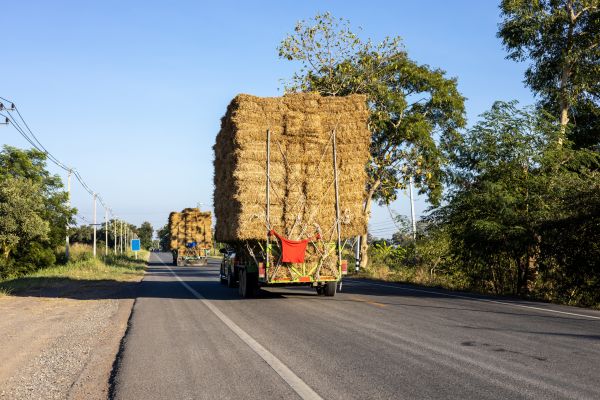 Pine Straw Delivery in Little River