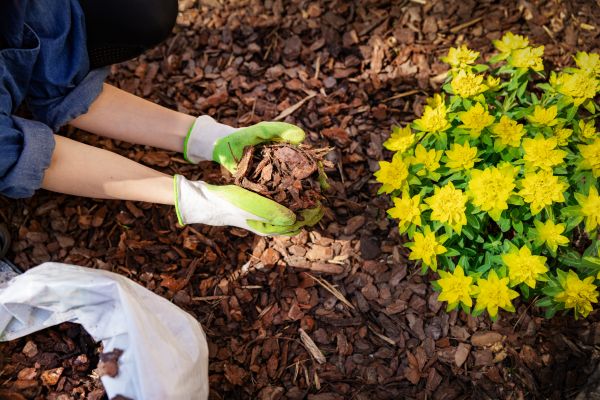 Garden Mulching in Little River