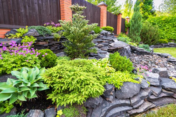 Landscape Remodeling in Little River