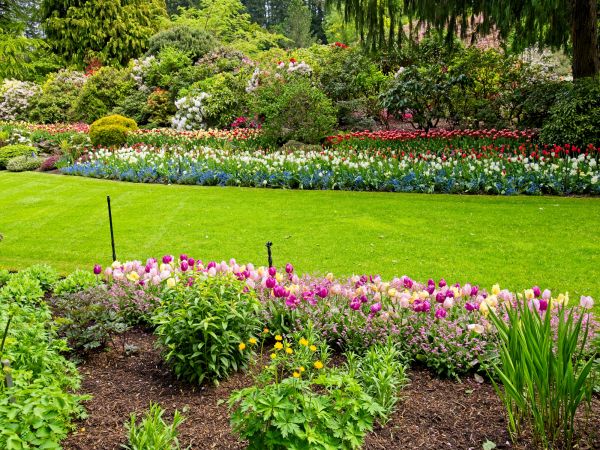 Residential Landscape Design in Little River