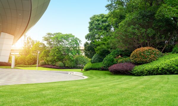 Business Landscape Design in Little River