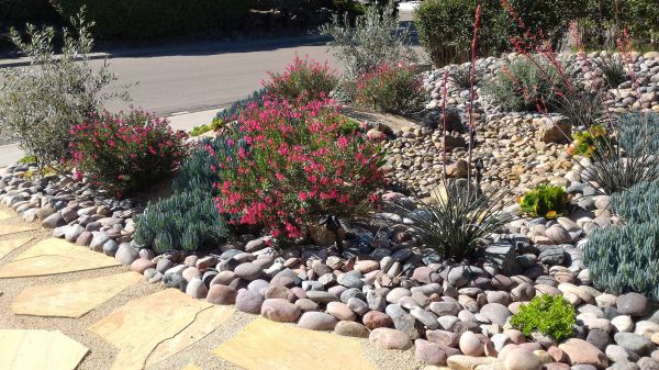 Xeriscape Landscaping in Little River