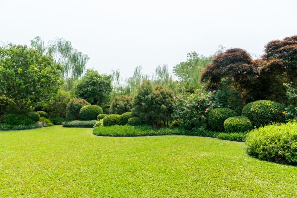 Tree Landscaping in Little River