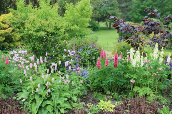 Flower Bed Planting in Little River