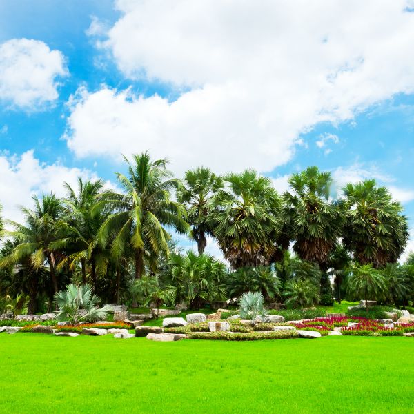 Tropical Landscaping in Little River