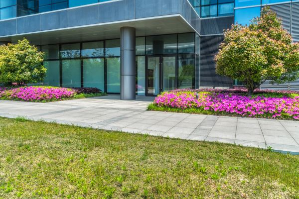 Commercial Gardening in Little River