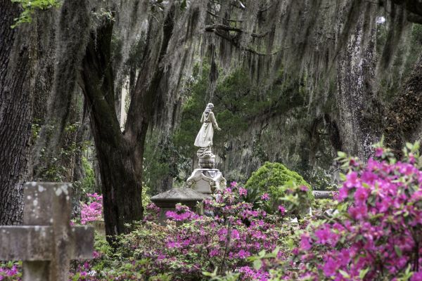 Cemetery Landscaping in Little River