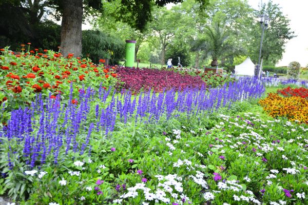 Perennials Planting in Little River