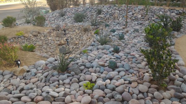 Yard Xeriscaping in Little River