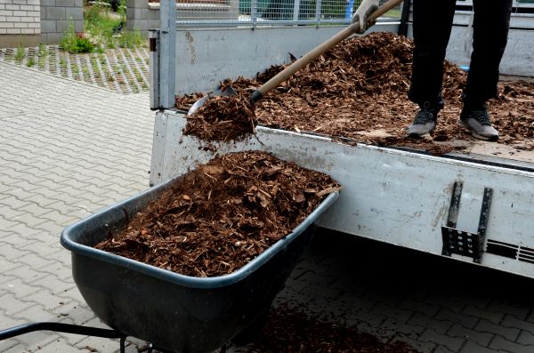 Cedar Mulch Delivery in Little River