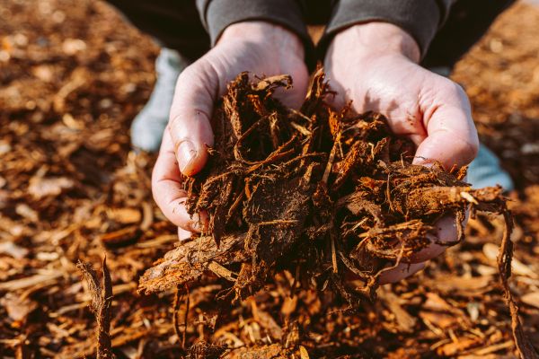 Bark Chips Delivery in Little River