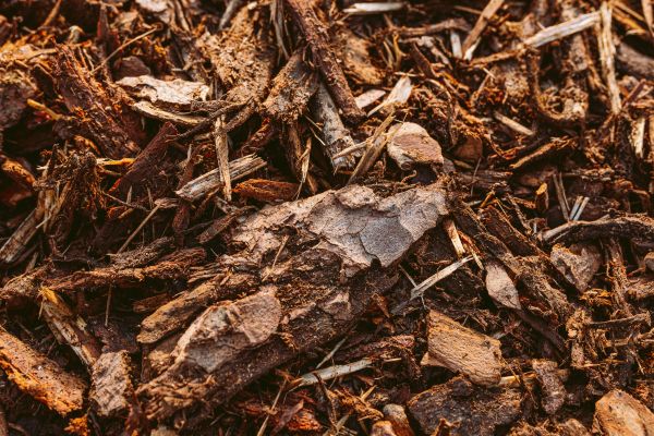 Bark Mulch Delivery in Little River