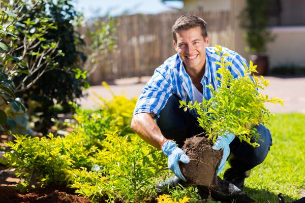 Shrub Landscaping in Little River
