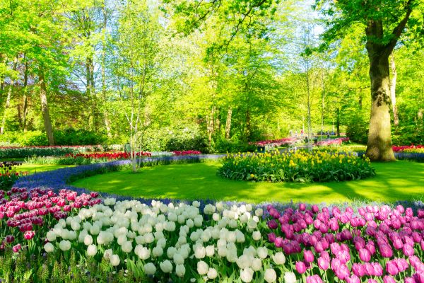 Flower Landscaping in Little River