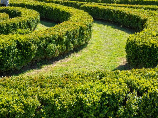 Bush Landscaping in Little River