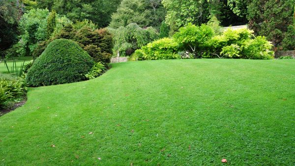 Commercial Landscape Design in Little River