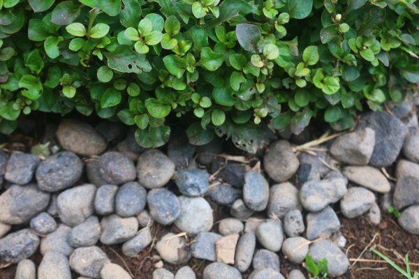 River Stone Installation Service