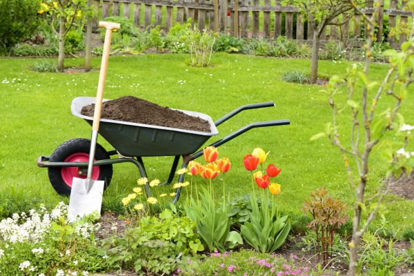 Spring Yard Renovation in Little River