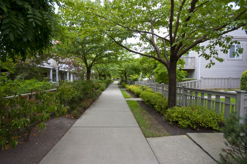 Tree-lined Pathways