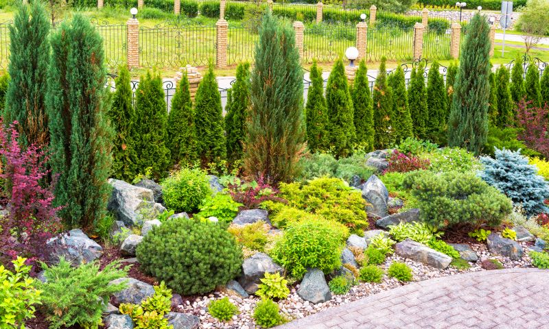 Privacy Landscaping